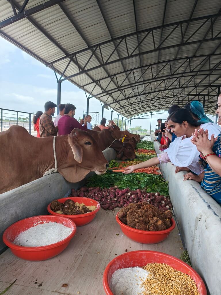 Food for Needy