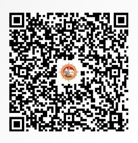 UPI QR Code
